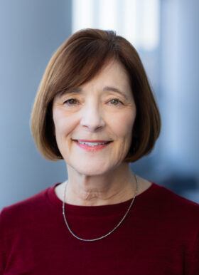 Linda Van Dillen, PT, PhD, FAPTA