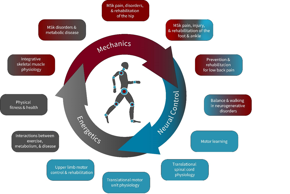Dual DPT-PhD - Program in Physical Therapy