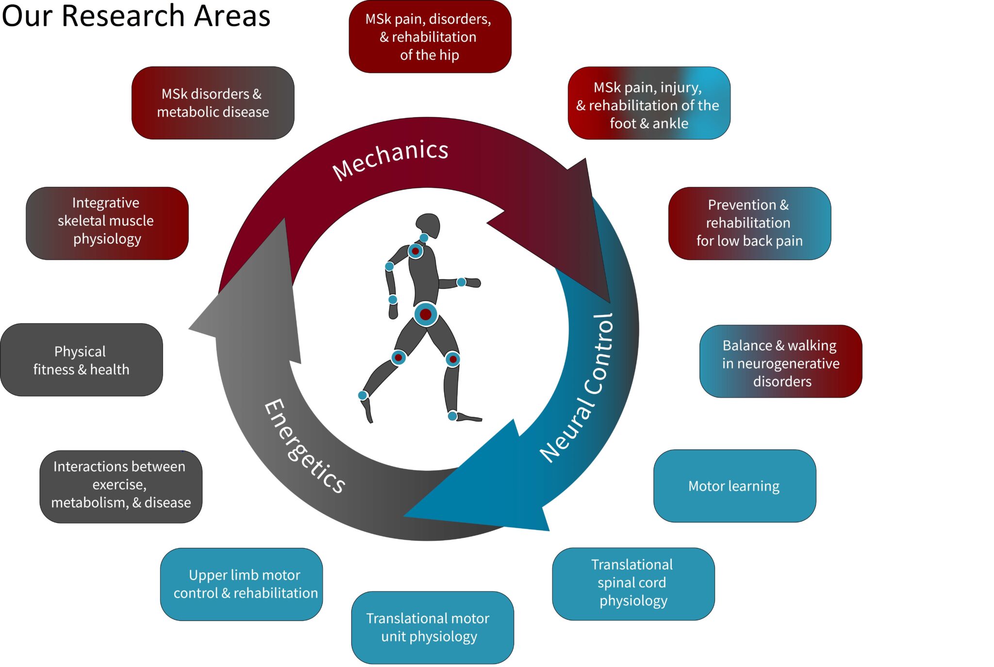 online phd movement science