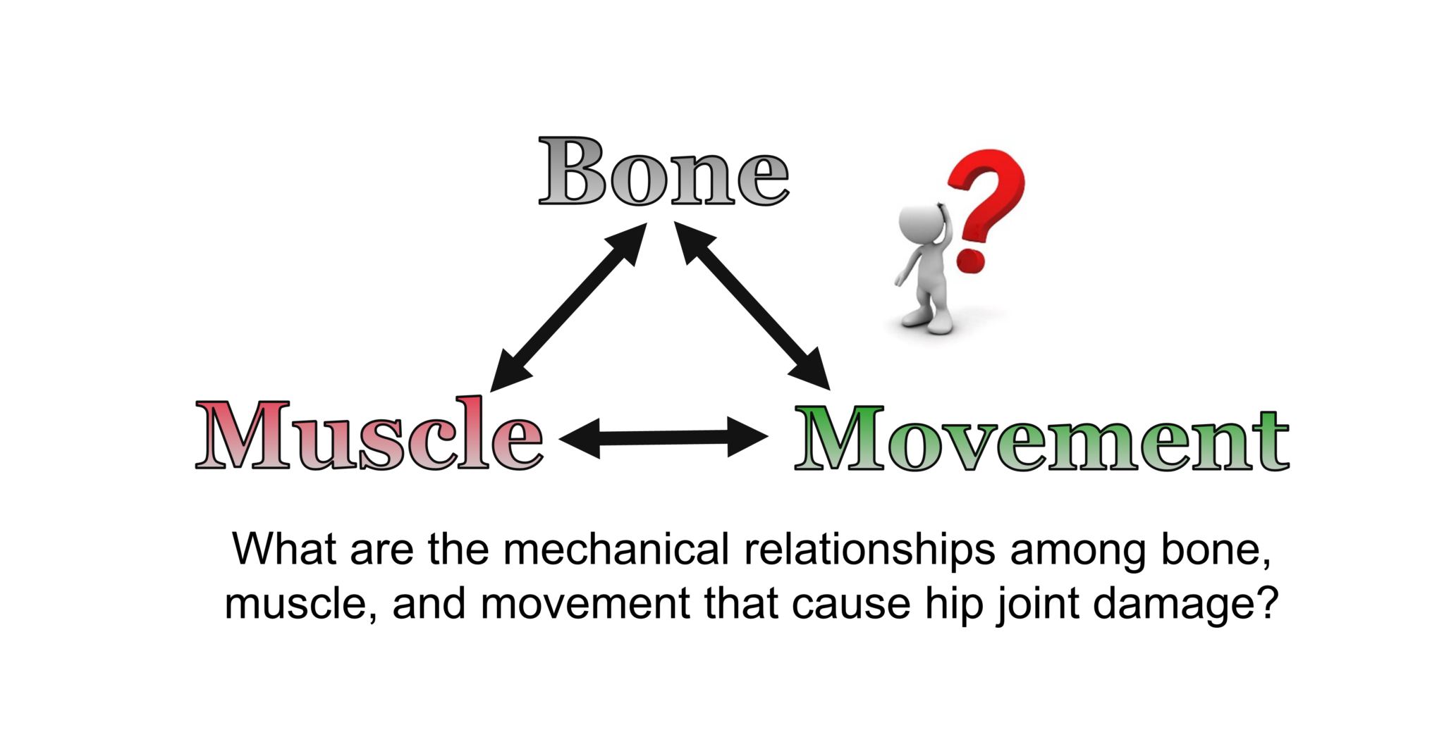 Whole Body & Joint Biomechanics - Program in Physical Therapy